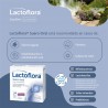 LACTOFLORA SUERO ORAL 6 SOBRES