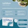 LACTOFLORA RESTORE ADULTOS 20 CÁPSULAS