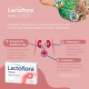 LACTOFLORA CISCARE PROTECTOR CON ARÁNDANOS MOLESTIAS URINARIAS 15 CÁPSULAS