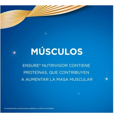 ENSURE NUTRIVIGOR VAINILLA POLVO 400GR