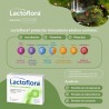 LACTOFLORA PROTEC INMUNITARIO 30 CAPS
