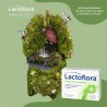 LACTOFLORA PROTEC INMUNITARIO 30 CAPS