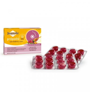 JUANOLA PROPO FRUTAS BOSQUE 24 PASTILLAS BLANDAS