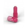 ISDIN REPARADOR LABIAL 1 STICK 4 G COLOR GRANATE
