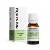 PRANAROM ACEITE ESENCIAL EUCALIPTO RADIATA 10 ML