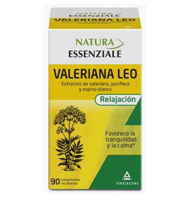 VALERIANA LEO ANGELINI 90 COMP