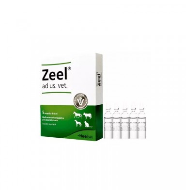 ZEEL HEEL 5 AMP