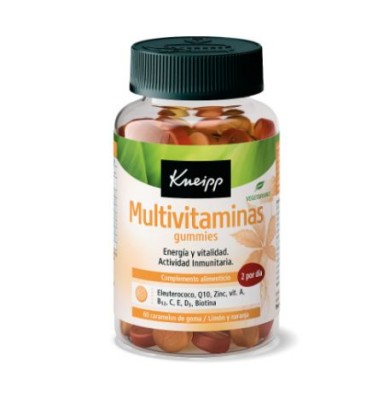 KNEIPP MULTIVITAMINAS 60...