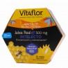 VITAFLOR INTELECTO 20 VIALES SABOR FRUTA