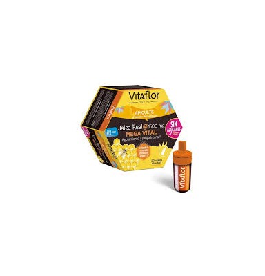 VITAFLOR MEGA VITAL JALEA...