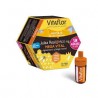VITAFLOR MEGA VITAL JALEA REAL 20 VIALES
